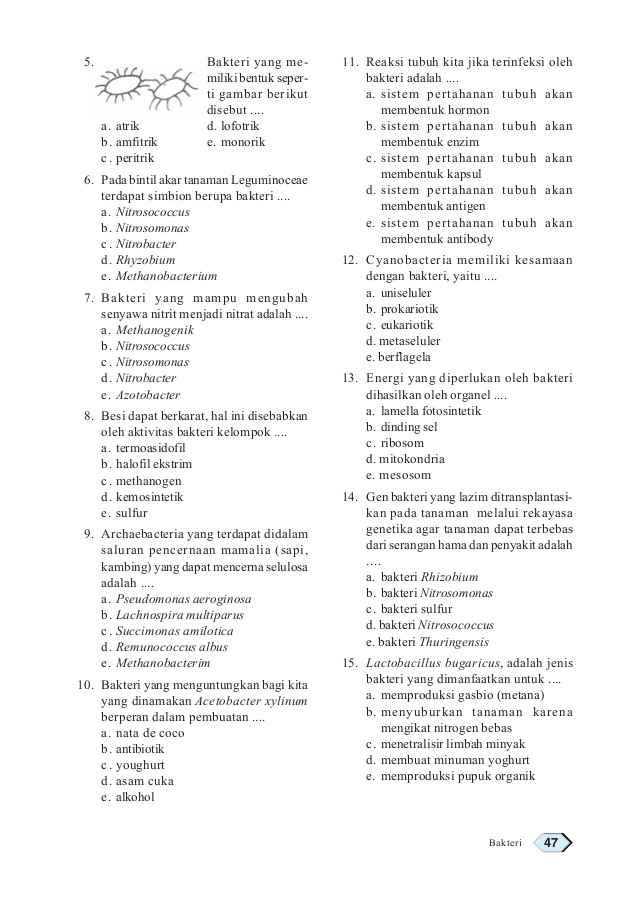buku biologi kelas xi erlangga pdf printer